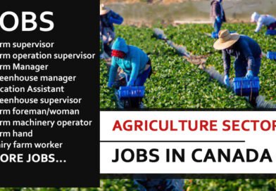 Jobs In Agriculture Sector